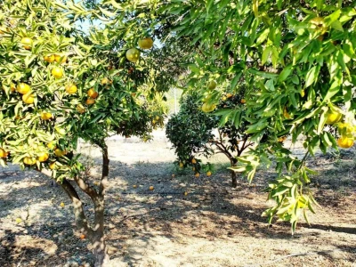 Foto 5 de Refugio del Soñador
